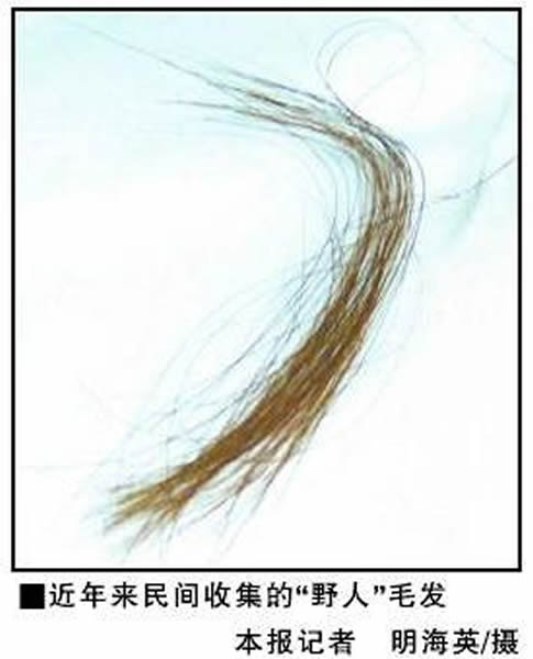 最具有说服力的或是“野人”毛发