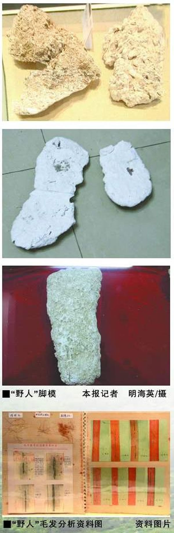 最具有说服力的或是“野人”毛发