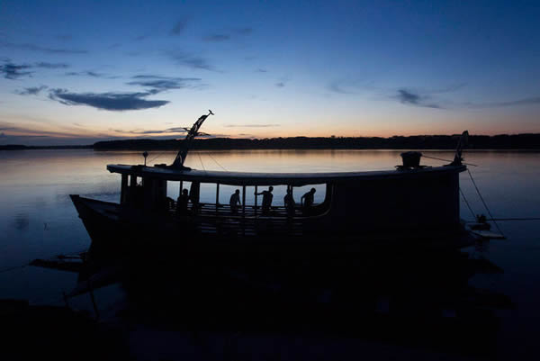 伯托-诺沃村的村民将他们捕杀的巨滑舌鱼运回村子。