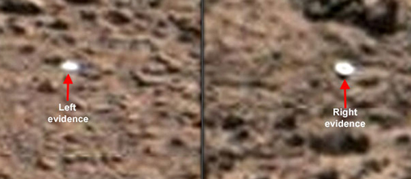 ���������桱�Ż��ǳ��ڻ����ĵ����������