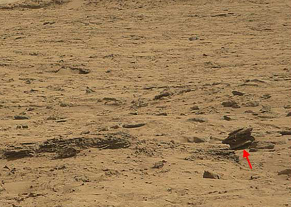 ���������桱�Ż��ǳ��ڻ����ĵ����������