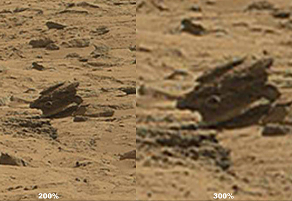 ���������桱�Ż��ǳ��ڻ����ĵ����������