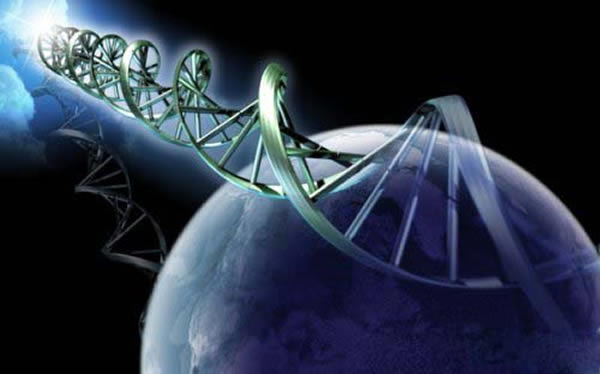 �����������������浮����1500������һ����ֵ�ϵ������������