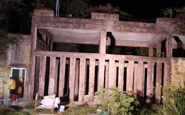 越南动物园发生一起大象“杀人”事故