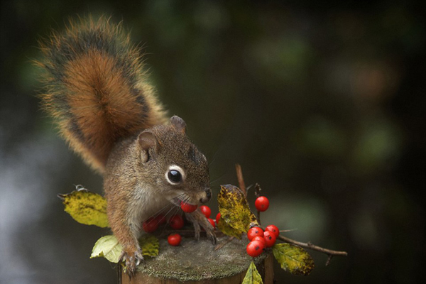 ���ô����ĺ���Ȼ����������ֻ����Ϊ���Ὤ��������