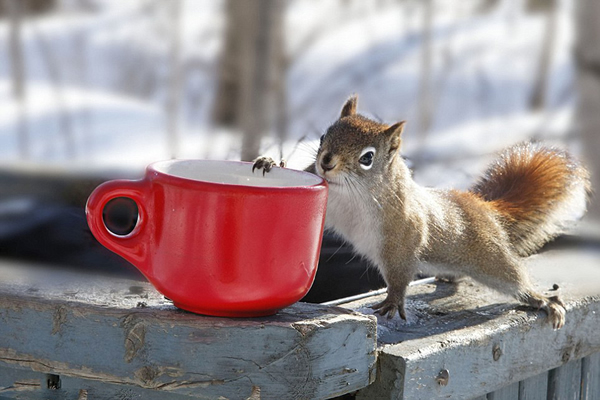 ���ô����ĺ���Ȼ����������ֻ����Ϊ���Ὤ��������