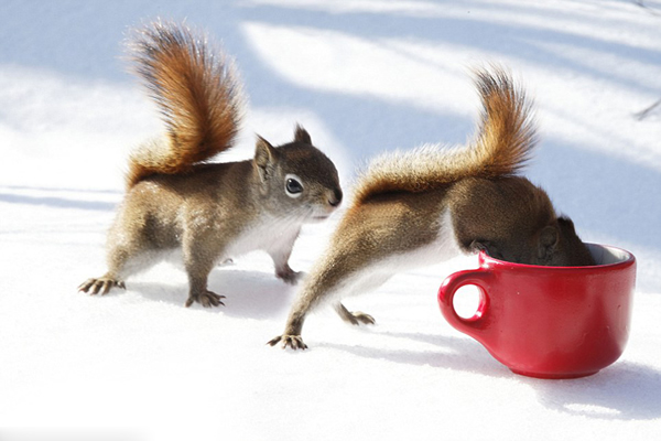 ���ô����ĺ���Ȼ����������ֻ����Ϊ���Ὤ��������