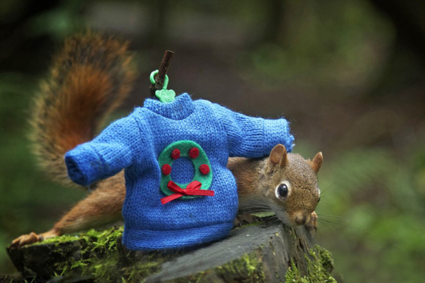 ���ô����ĺ���Ȼ����������ֻ����Ϊ���Ὤ��������