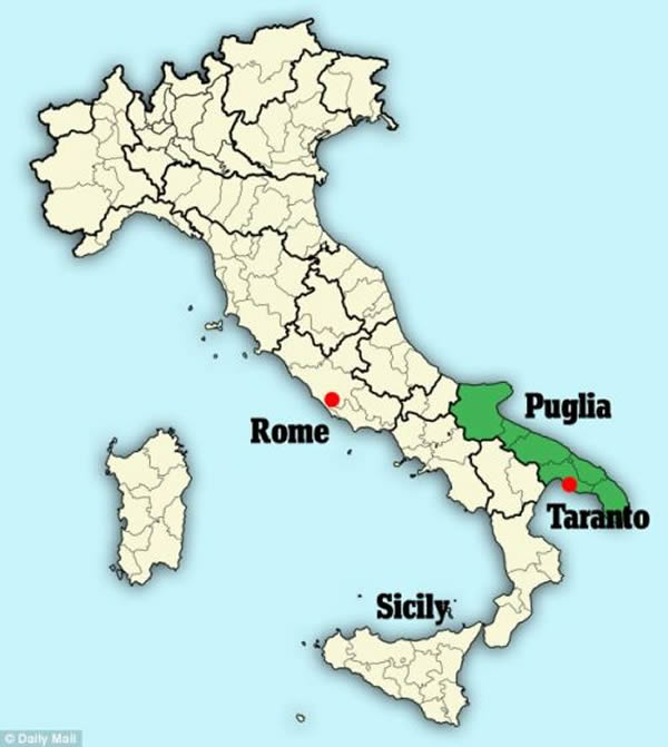 在意大利普利亚区塔兰托省曼杜里亚德一个梅萨比部落石墓,意大利考古管理局发现了拥有2400年历史的赤土陶奶瓶。公元前大约1000年,梅萨比部落便生活在杜里亚德。除