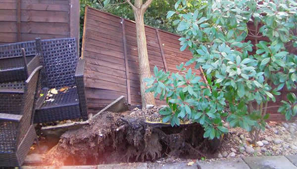 Ӣ��һ����ѧ��ʦ�����ĵ�������������塱