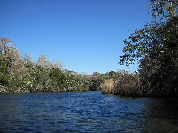 美国佛罗里达州父子在潜水胜地鹰巢槽不幸同时遇难