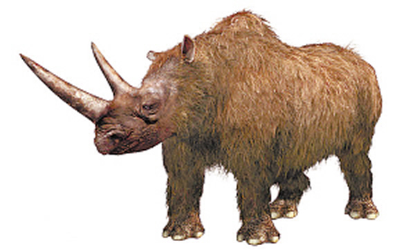 披毛犀复原图