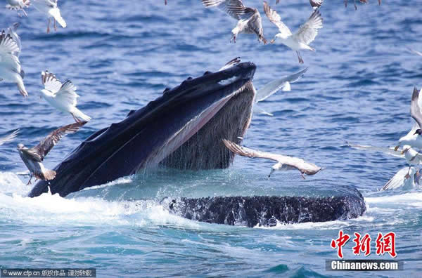 ��Ÿ�Ӿ���Ŀ��ж�ʳ