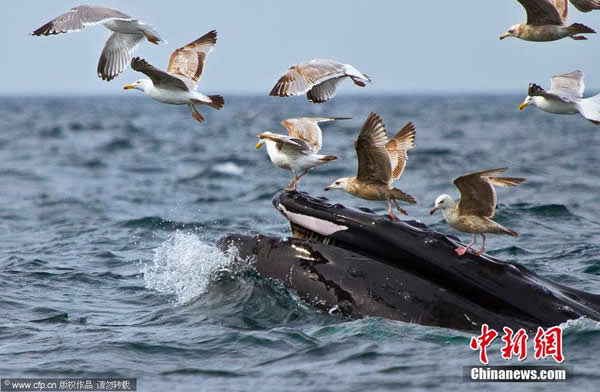 ��Ÿ�Ӿ���Ŀ��ж�ʳ