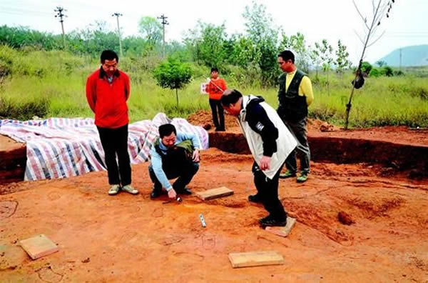 ����ר�ҶԹ����㼣�����ֳ����顣(��һΪ������)