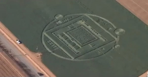 清晨两道强光过后美国加州农场出现麦田怪圈