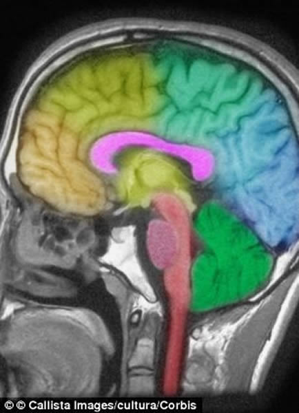 失眠对大脑造成的伤害类似于头部外伤产生的影响,它使大脑内和脑损伤有关的化学物质剧增。