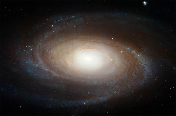 M81ϵ