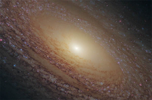 NGC 2841ϵ
