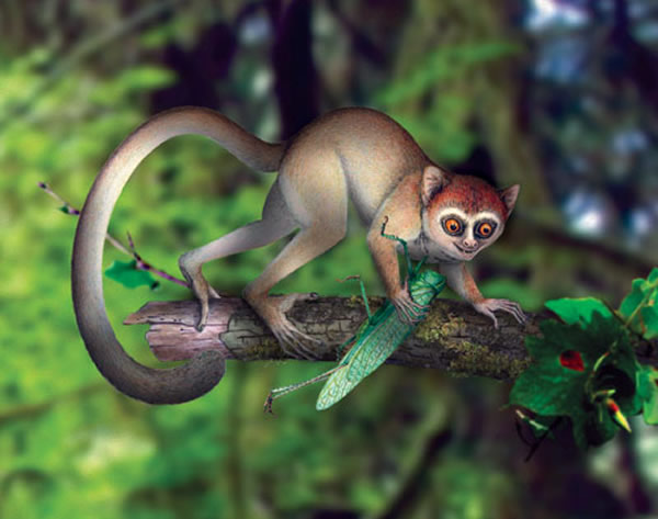 阿喀琉斯基猴复原图