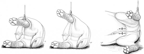 ��ҽ�Ŷ���ϸ������һ��ʮ�ּ򵥵��˸�����·���