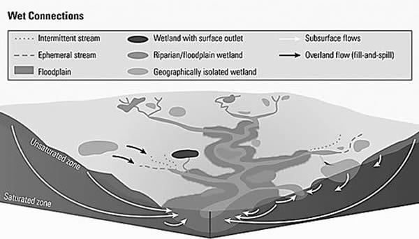 һĹ涨УEPAĿѧΪ಻ͬˮ֮ѧϵ