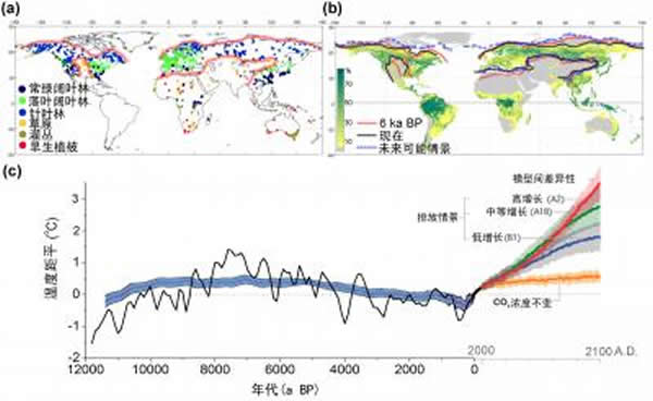 最近研究提示:地球森林的分布不会追随气候变化的步伐