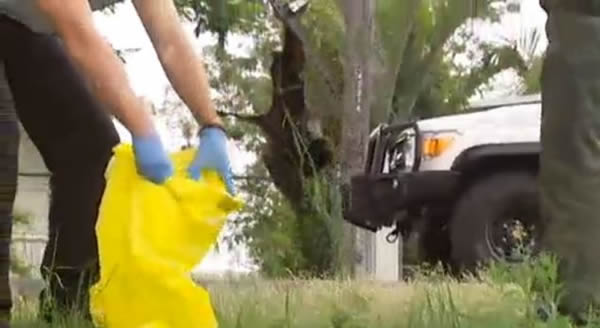 澳大利亚10万只蝙蝠因无法抵御热浪而死亡