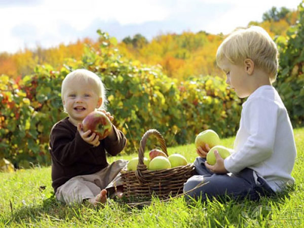 水果和蔬菜中的膳食纤维可能会缓解哮喘