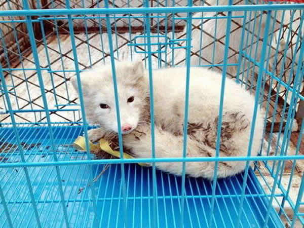 �㽭��Ϫ���ְ׺�