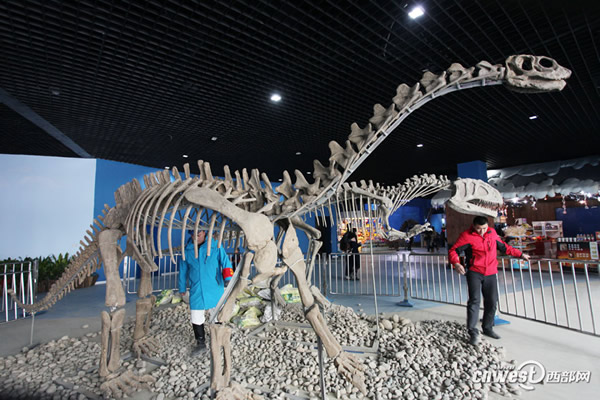 工作人员正在布展