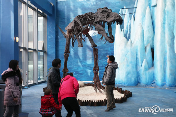 极地馆内的恐龙龙骨架展示