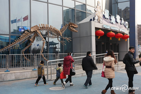 曲江极地馆自贡恐龙化石展将持续到6月2日