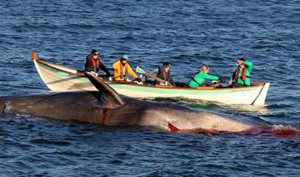 Ӣ�����������б��庣̲�����������Ĩ�㾨ʬ��