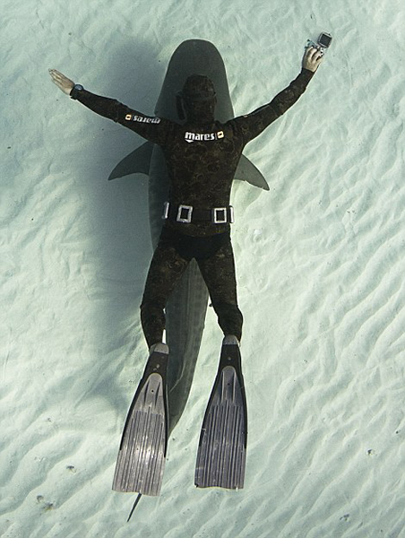 大西洋西岸的西大巴哈马海底大量鲨鱼出没