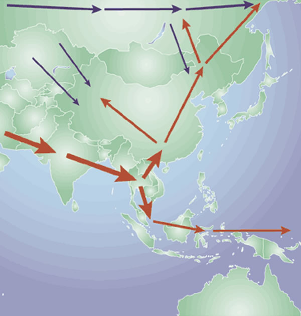非洲血统的东亚人的假定的迁徙路线