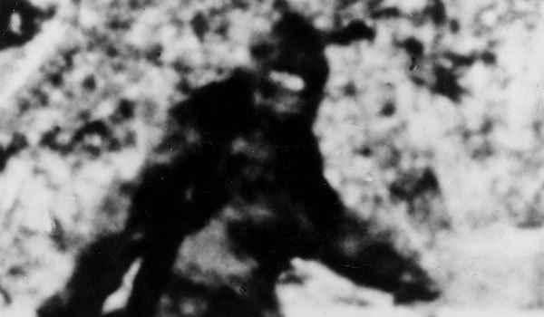 Spike TVƵƳѰҴ˵еĴŹ֡Ŀ