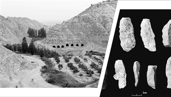 �ͷ���ַ��ʯҶ������ַ��ò