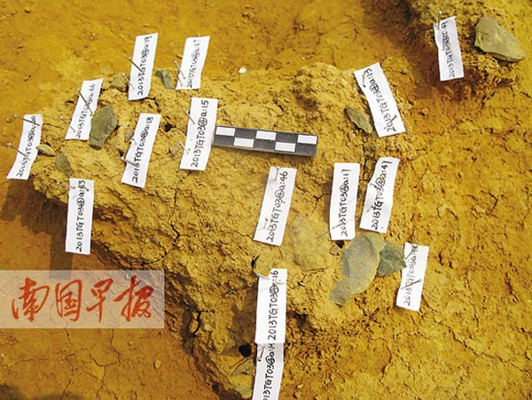 发掘现场里密集分布的石制品。