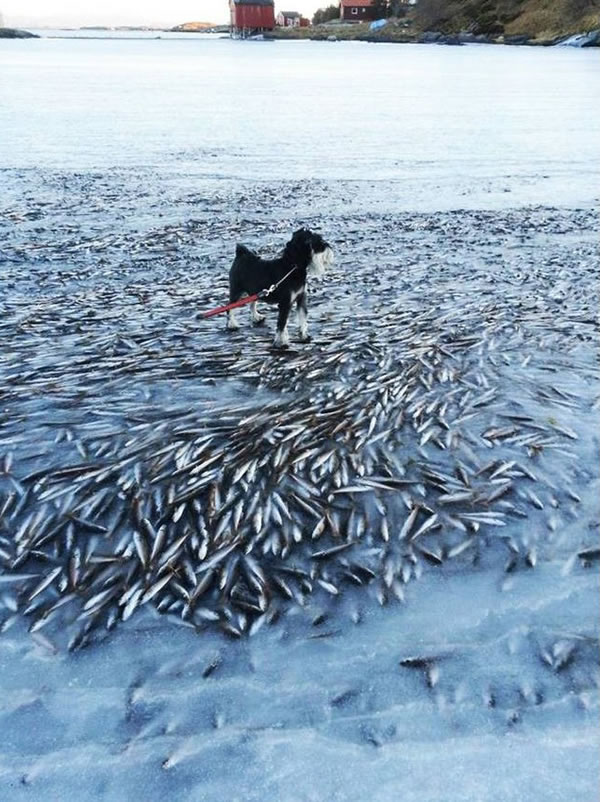 С�����ű���ס����ȺҲ��ס�ˡ�