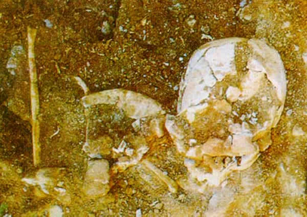 金牛山人头骨化石