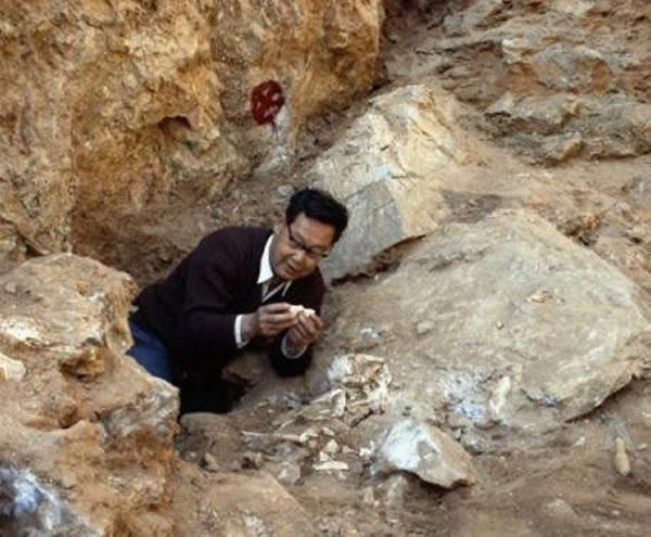 吕遵谔教授清理“金牛山人”