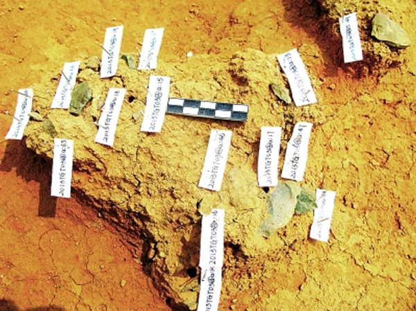 �ֲ��ܼ���ʯ��Ʒ