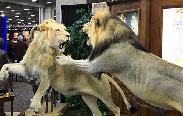 ���ˡ�����ŵ���١��ɹ����������ױ�����ɱ��Σ��Ϭţ������֤����ǿ��Ǵ��