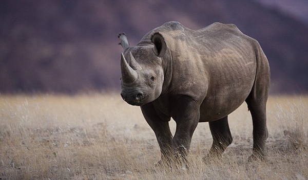 ���ˡ�����ŵ���١��ɹ����������ױ�����ɱ��Σ��Ϭţ������֤����ǿ��Ǵ��