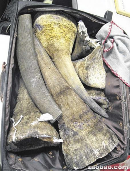 Խ��������˽��ֵ140����Ԫ��Ϭţ�Ǳ������ϳ�