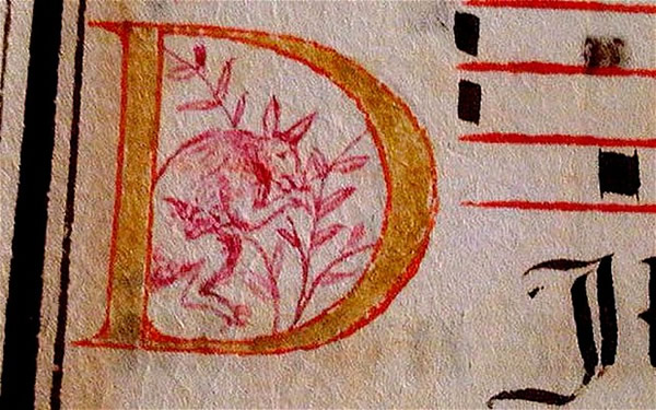 绘有袋鼠图案的16世纪手稿或将证明葡萄牙人首先发现澳大利亚