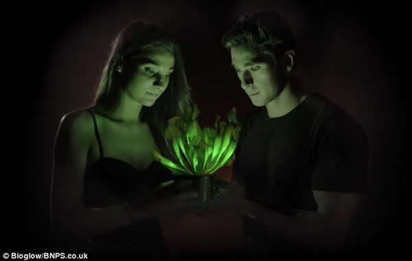 ������ѧ�����������һ�ַ���ֲ������ǹⰢ���