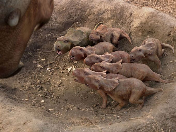 一部恐龙题材的3D电影《Caminhando com Dinossauros》在巴西上映