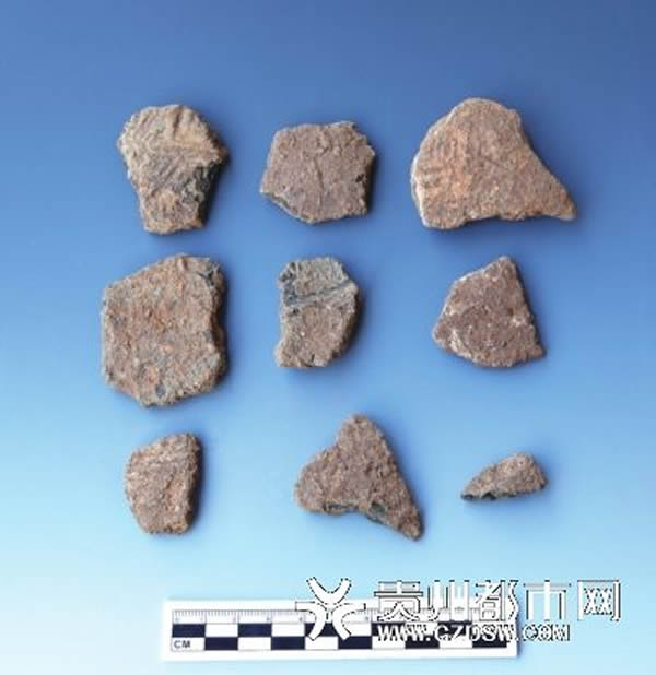 尾巴田遗址出土的陶片